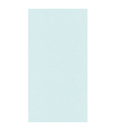 Papier Peint CASELIO Linen 2 LINN68526507