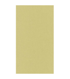 Papier Peint CASELIO Linen 2 LINN68527163