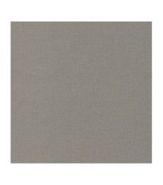 Papier Peint CASELIO Linen 2 LINN68529627