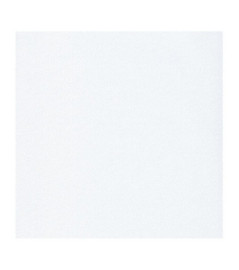 Papier Peint CASELIO l'Odyssée OYS100400101