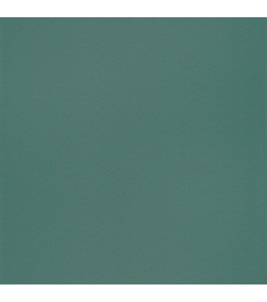 Papier Peint CASELIO l'Odyssée OYS100407926 Papier Peint CASELIO l'Odyssée OYS100407926