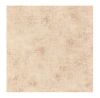 Papier Peint CASELIO Telas 2 TEL102071480