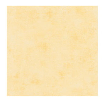 Papier Peint CASELIO Telas 2 TEL69872245