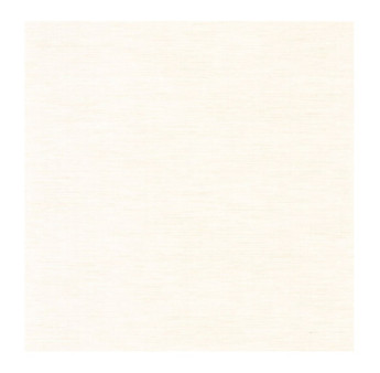 Papier Peint CASADECO Tissage Les Unis TISA85840175