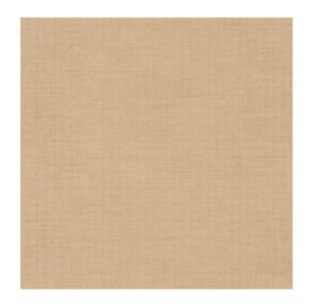 Papier Peint CASADECO Tissage Les Unis TISA85841414