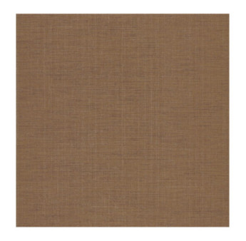 Papier Peint CASADECO Tissage Les Unis TISA85842404