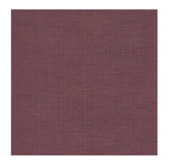 Papier Peint CASADECO Tissage Les Unis TISA85845505