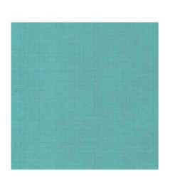 Papier Peint CASADECO Tissage Les Unis TISA85846408
