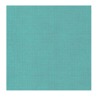 Papier Peint CASADECO Tissage Les Unis TISA85846408