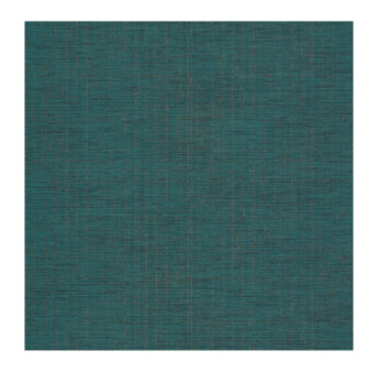 Papier Peint CASADECO Tissage Les Unis TISA85846556