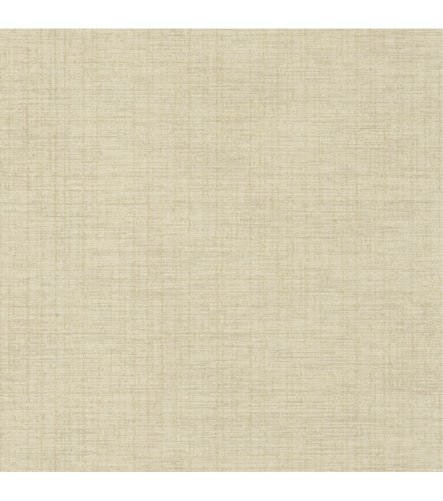 Papier Peint CASADECO Tissage Les Unis TISA85847117 Papier Peint CASADECO Tissage Les Unis TISA85847117