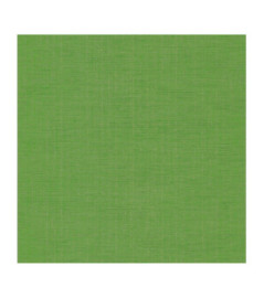 Papier Peint CASADECO Tissage Les Unis TISA85847394