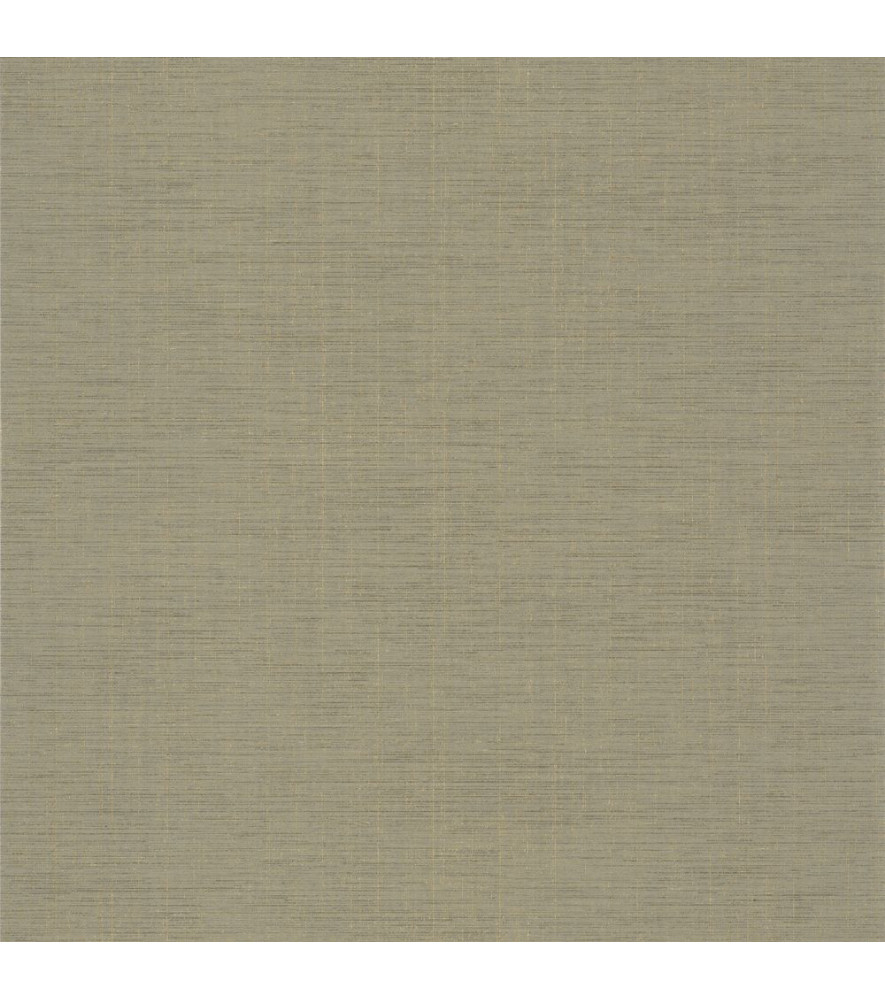Papier Peint CASADECO Tissage Les Unis TISA85847442