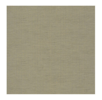 Papier Peint CASADECO Tissage Les Unis TISA85847442