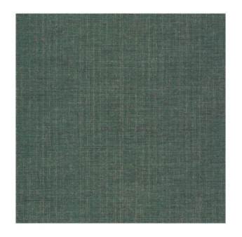 Papier Peint CASADECO Tissage Les Unis TISA85847507