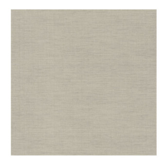 Papier Peint CASADECO Tissage Les Unis TISA85849367