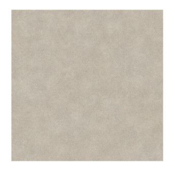 Papier Peint CASADECO Woods WOOD26211204