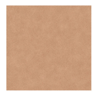 Papier Peint CASADECO Woods WOOD26213525