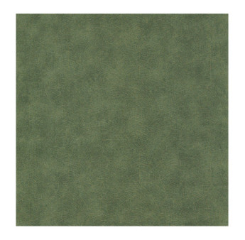 Papier Peint CASADECO Woods WOOD26217505