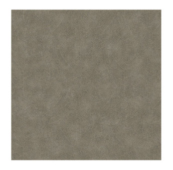 Papier Peint CASADECO Woods WOOD26219128