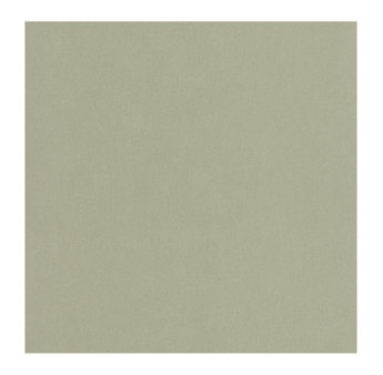 Papier Peint CASELIO Young & Free YNF64527210