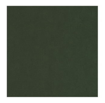 Papier Peint CASELIO Young & Free YNF64527370