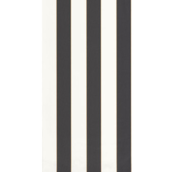 Papier Peint CASELIO Moonlight MLG101072092