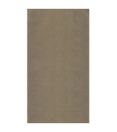 Papier Peint CASELIO Moonlight 2 MLGT101579120