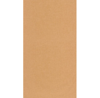 Papier Peint CASELIO Moonlight 2 MLGT103222120