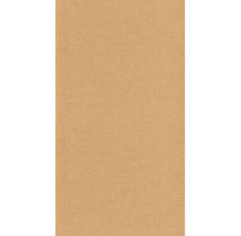 Papier Peint CASELIO Moonlight 2 MLGT68521920