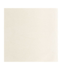 Papier Peint CASELIO ORIGINE OGN106060000