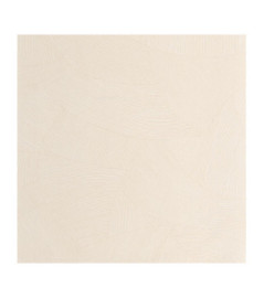 Papier Peint CASELIO ORIGINE OGN106061023