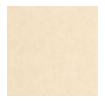 Papier Peint CASADECO Echappée Belle ECHA89851141