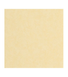 Papier Peint CASADECO Echappée Belle ECHA89852121