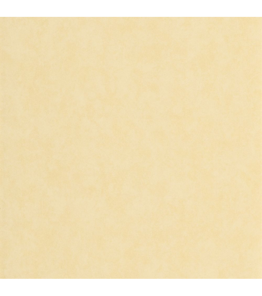 Papier Peint CASADECO Echappée Belle ECHA89852121 Papier Peint CASADECO Echappée Belle ECHA89852121