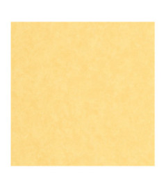 Papier Peint CASADECO Echappée Belle ECHA89852303