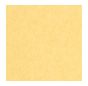 Papier Peint CASADECO Echappée Belle ECHA89852303
