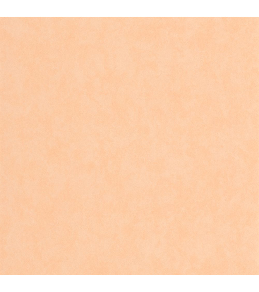 Papier Peint CASADECO Echappée Belle ECHA89853232 Papier Peint CASADECO Echappée Belle ECHA89853232