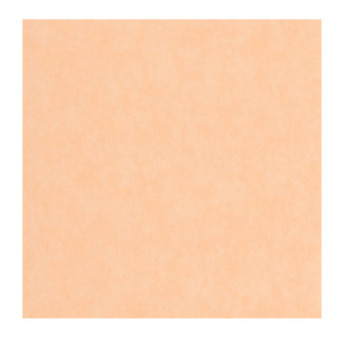 Papier Peint CASADECO Echappée Belle ECHA89853232