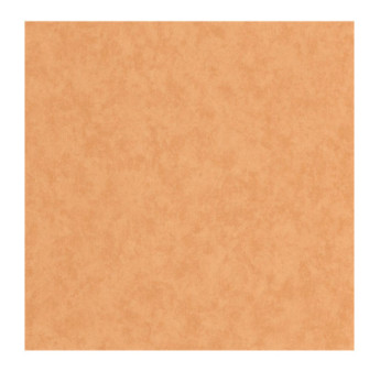 Papier Peint CASADECO Echappée Belle ECHA89853535