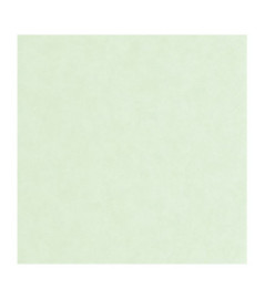 Papier Peint CASADECO Echappée Belle ECHA89856111