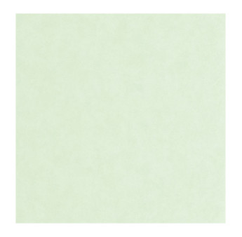 Papier Peint CASADECO Echappée Belle ECHA89856111