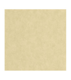 Papier Peint CASADECO Echappée Belle ECHA89857117