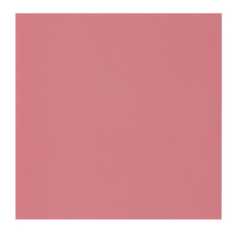 Papier Peint CASADECO Rose & Nino RONI69864600