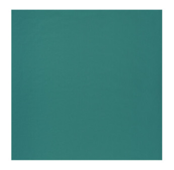 Papier Peint CASADECO Rose & Nino RONI69867717