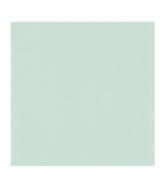 Papier Peint CASADECO Rose & Nino RONI69867910