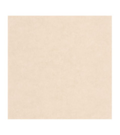 Papier Peint CASADECO Leathers LEAT87131121
