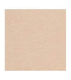 Papier Peint CASADECO Leathers LEAT87131311