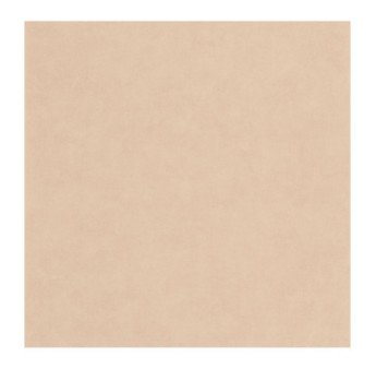 Papier Peint CASADECO Leathers LEAT87131311