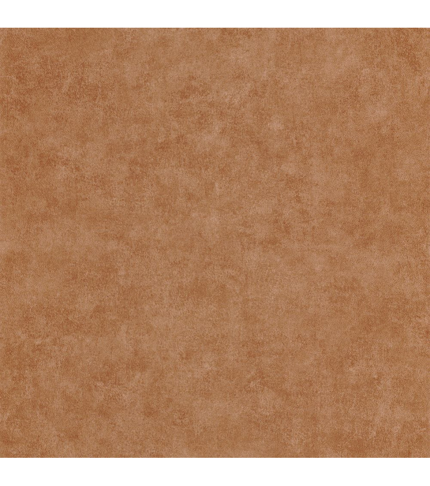 Papier Peint CASADECO Leathers LEAT87132409 Papier Peint CASADECO Leathers LEAT87132409